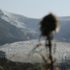 columbia icefield